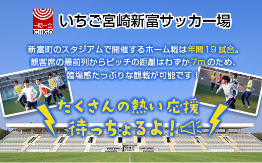 テゲバジャーロ宮崎　応援グッズセット　サッカー Jリーグ 公式 送料無料【B642】