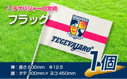 テゲバジャーロ宮崎　応援グッズセット　サッカー Jリーグ 公式 送料無料【B642】