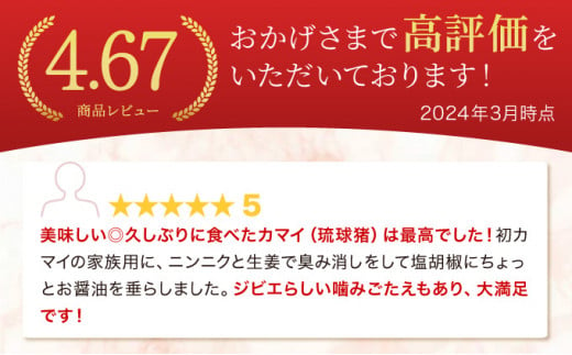 ジビエ イノシシ 肉 西表島産 スライス 200g×2パック