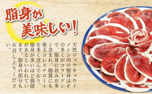 ジビエ イノシシ 肉 西表島産 スライス 200g×2パック