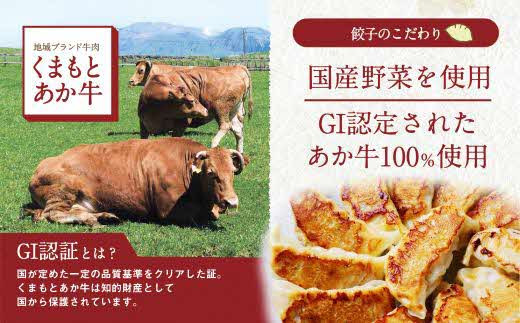 1495　ＧⅠ認証　くまもとあか牛１００％餃子　６０個入り（２０個×３） 　