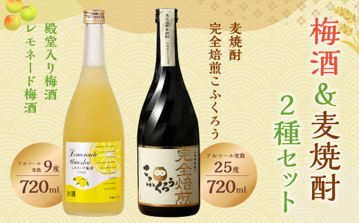 【TWSC2020銅賞受賞酒】ビターチョコ みたいな「完全焙煎こふくろう」と 殿堂入り梅酒「レモネード梅酒」 セット