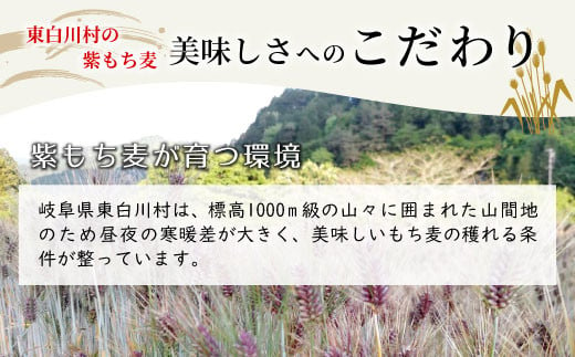 東白川村産 紫もち麦 ダイシモチ 150g×2袋 計300g もち麦 麦 大麦 雑穀 お米 こめ 精米 ご飯 食物繊維 お取り寄せ 2000円