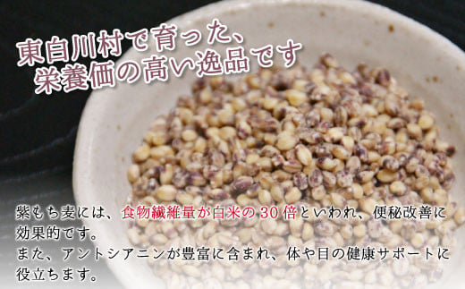 東白川村産 紫もち麦 ダイシモチ 150g×2袋 計300g もち麦 麦 大麦 雑穀 お米 こめ 精米 ご飯 食物繊維 お取り寄せ 2000円