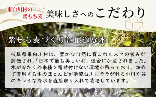 東白川村産 紫もち麦 ダイシモチ 150g×2袋 計300g もち麦 麦 大麦 雑穀 お米 こめ 精米 ご飯 食物繊維 お取り寄せ 2000円