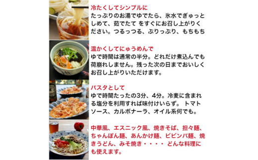 TV番組「マツコ＆有吉 かりそめ天国」紹介店　渡辺手延製麺所　ひやむぎ1束225ｇ×10束　四日市手延ひやむぎ　／王道の名産品　四日市　大矢知伝承の味　金魚印　清流　ミネラル　高級麺　特産　冷や麦　麺　おおやち　手延べめん　ひやむぎ　手延冷麦　夏　そうめん