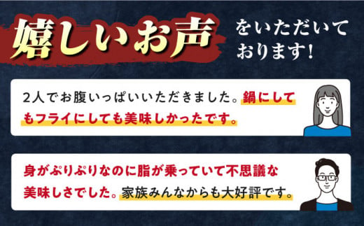 【全12回定期便】対馬 産 クエ 鍋 セット 600g (2～3人前)《対馬市》【対馬地域商社】九州 長崎 海鮮 [WAC035]冷凍 新鮮 くえ 鍋セット 海の幸 クエ 下処理 冷凍 新鮮 小分け 海産物 九州 長崎 唐揚げ からあげ 天ぷら てんぷら 煮付け 5人前 クエ鍋 対馬 定期便 毎月届く