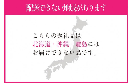 CN48【2025年先行予約】 訳あり家庭用白桃 匠の白桃 1.3kg(4～6玉)【岡山県産 一宮産 みずみずしい 新鮮 数量限定 季節の味 旬をお届け フレッシュ 犬塚農園からお届け 晴れの国 おかやま 果物大国 もぎたて便 当日出荷 ご自宅用 岡山県 倉敷市 おすすめ 人気】