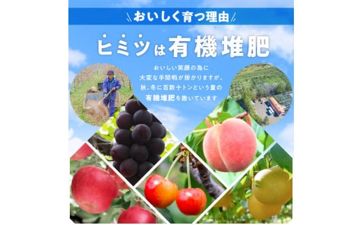 【ニトリ観光果樹園が贈るフルーツ王国定期便！】豪華！！旬のフルーツ4回発送コース