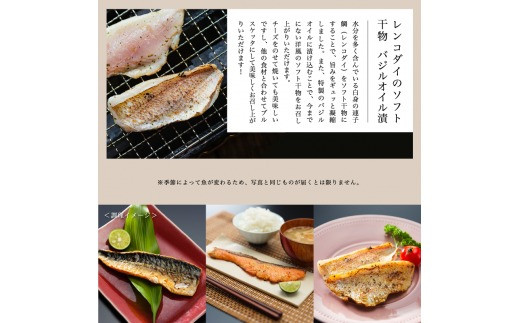 干物 盛り合わせ 9～10種 豪華 季節 旬 ひもの 詰め合わせ セット 京都 舞鶴 海の贈り物DX おかず おつまみ