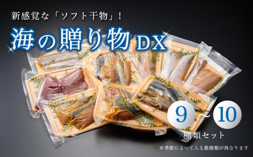 干物 盛り合わせ 9～10種 豪華 季節 旬 ひもの 詰め合わせ セット 京都 舞鶴 海の贈り物DX おかず おつまみ