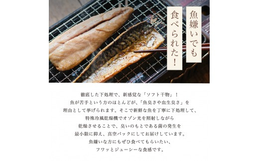 干物 盛り合わせ 9～10種 豪華 季節 旬 ひもの 詰め合わせ セット 京都 舞鶴 海の贈り物DX おかず おつまみ