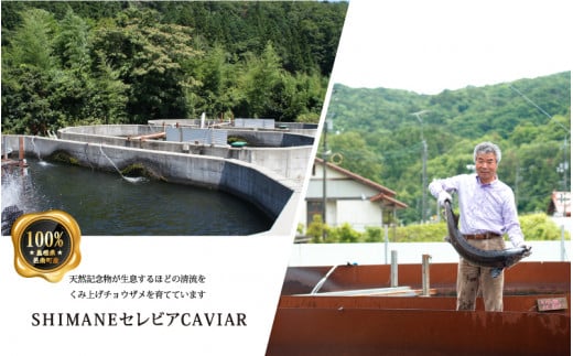 盃 Sakazuki Caviar　3種食べ比べセット