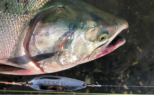 PESCA トラウトルアー ふるさと納税限定カラー3個セット（10.0g） | 埼玉県 草加市 1932年創業 高い金属加工技術 アングラーの理想を高次元で実現 ルアー 釣り フィッシング  限定品 魚釣り ルアー 工芸品 職人 便利 シンプル カラー 