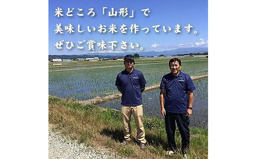 【令和7年産先行受付】中山町の至高！山形県中山町厳選新米・フルーツ定期便　全3回