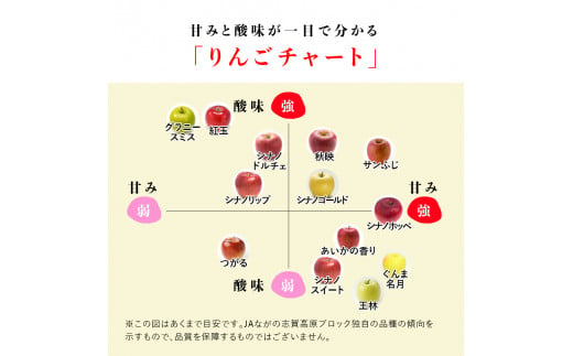 志賀高原の麓で育った サンふじ 丸秀18玉 約5kg 【 りんご 5kg フルーツ 果物 デザート 長野県 長野 】