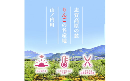 志賀高原の麓で育った サンふじ 丸秀18玉 約5kg 【 りんご 5kg フルーツ 果物 デザート 長野県 長野 】