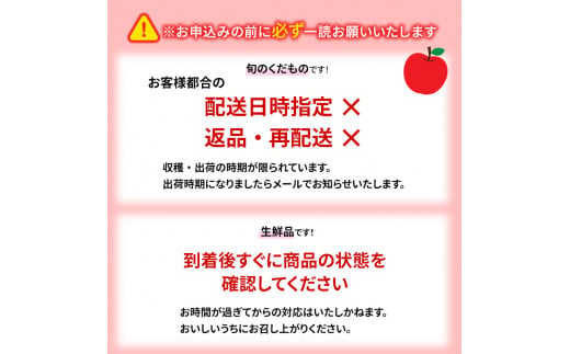 志賀高原の麓で育った サンふじ 丸秀18玉 約5kg 【 りんご 5kg フルーツ 果物 デザート 長野県 長野 】