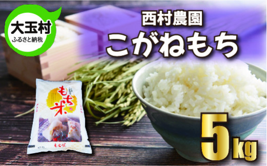 もち米 こがねもち 5kg 《 令和6年 》 西村農園 ｜ 餅米 餅こめ 米 餅 もち モチ おこわ 炊き込みご飯 福島県 大玉村 ｜nm-km05-R6