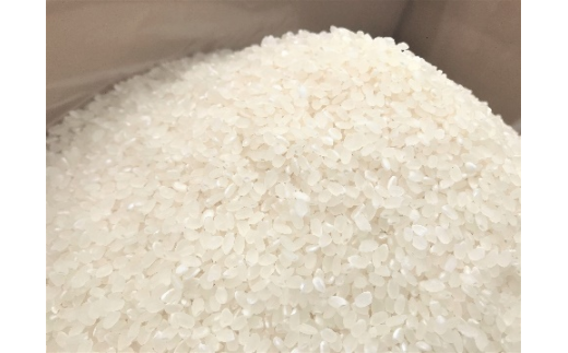 【 令和6年産 新米 】 姨捨 の 棚田 プレミアム コシヒカリ 「 棚田姫 」 5kg | 米 白米 新米 コシヒカリ こしひかり 長野県 千曲市 姨捨 信州 