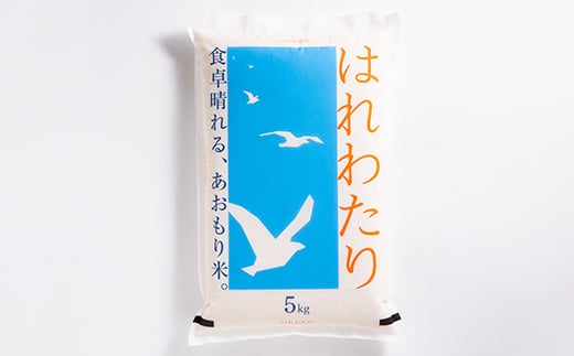 ＜令和6年産＞はれわたり 精米　5kg×2袋【1456661】