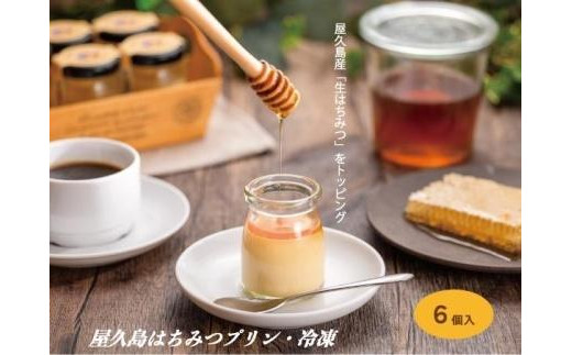 【ギフト用オリジナル保冷バッグ付き】【数量限定】屋久島はちみつ冷凍プリン6個セット