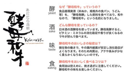 あだたら酵母和牛 すき焼き鍋セット(すき焼き用和牛500g+大玉村新鮮野菜)【01046】