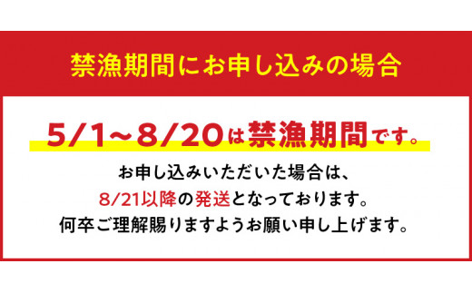 【漁師直送】活き〆冷凍 天然ゾウリエビ1kg（2～6尾） ※数量限定　W005-008u