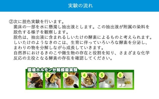 食べられる！学べる！しいたけ栽培+環境ホルモン分解模擬実験キット