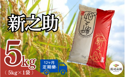 【令和6年産新米】〈12回定期便〉渡辺農園の新之助5kg (5kg×1袋) 新潟県 五泉市 渡辺農園 [10月中旬以降順次発送]