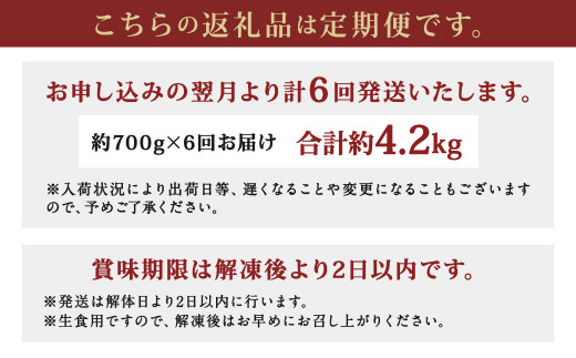 【6ヶ月定期便】長崎県産 本マグロ「中トロ」約700g