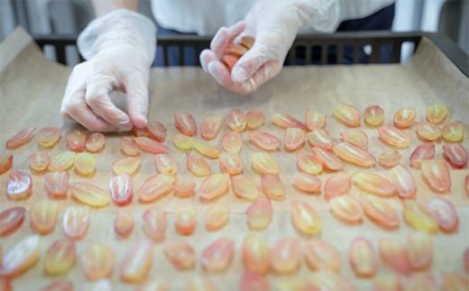 No.398 季節のドライフード7種セット　約70g ／ お菓子 新鮮 香り 埼玉県