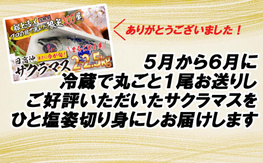 ＜3月31日までの受付＞ 北海道産 サクラマス ひと塩 姿切り身 2kg ～ 3kg まるごと 1尾  北海道 本マス 鱒 マス 魚 鮮魚 活〆 期間限定