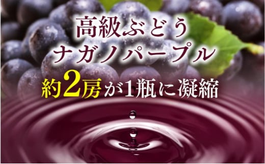 【定期便 / 1月、2月、3月 固定月に発送】こだわり葡萄酒 ナガノパープルワイン　[№5675-1467]