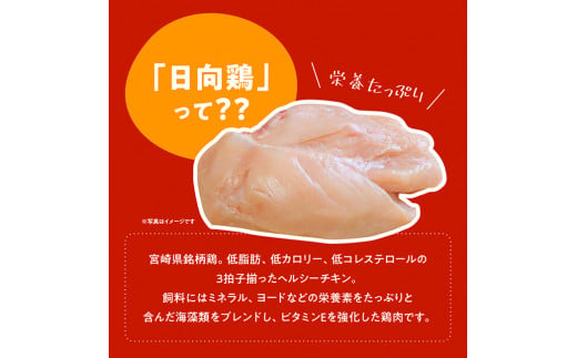 宮崎県産日向鶏チキンカツ２０枚