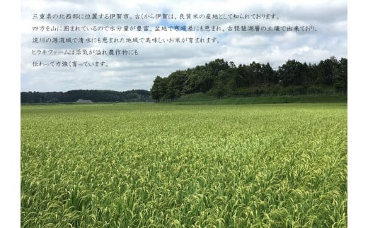 《令和6年産》米 三重県伊賀産 ミルキークイーン ヒラキファーム栽培　白米10kg