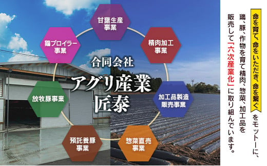 宮崎県産鶏肉 スペシャル鶏三昧セット 合計5kg【B607】