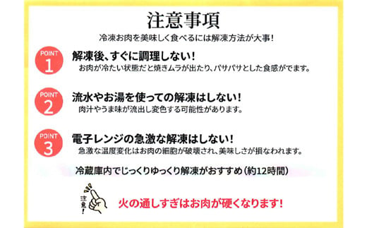 【2025年5月配送】味付けネギ塩厚切り牛タン 焼肉1000g（500g×2パック）