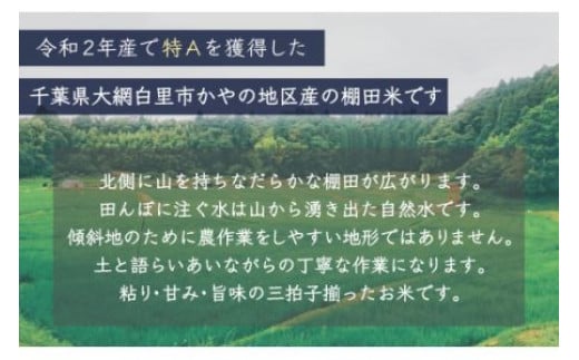 【新米】令和6年産 千葉県大網白里市萱野地区産「コシヒカリ」10kg（5kg×2袋） お米 10kg 千葉県産 大網白里市 コシヒカリ 米 精米 こめ 送料無料 A001