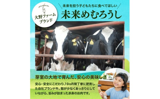 北海道十勝芽室町 めむろみらい牛使用！ひき肉1.2kg me007-002c