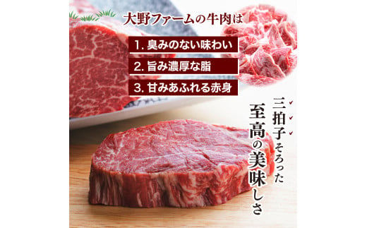 北海道十勝芽室町 めむろみらい牛使用！ひき肉1.2kg me007-002c