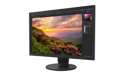 EIZOの24.1型カラーマネージメント液晶モニター ColorEdge CS2400S【1384279】