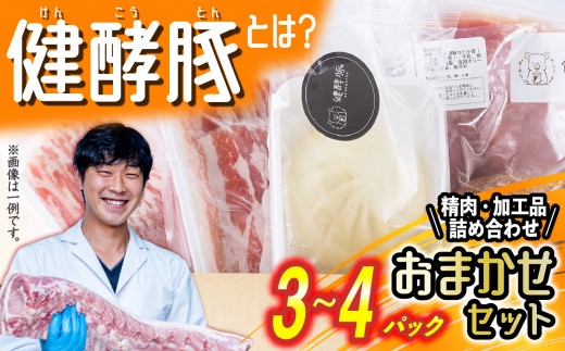 北海道産 健酵豚 おまかせ セット 3～4パック 豚肉 精肉 加工品 おためし 詰め合わせ ブランドポーク