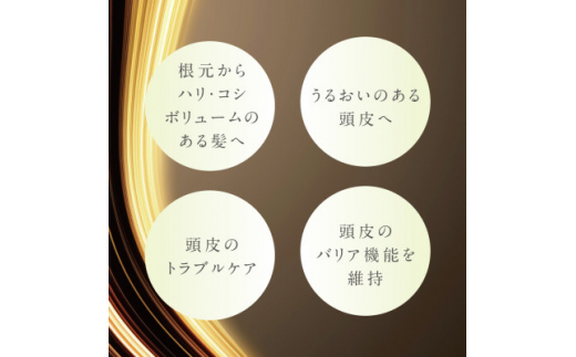 プテロ ARヘア&スカルプパック グランディール【1516158】 | 大阪府