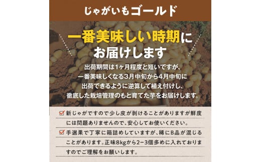 【2025年先行予約】前原さんの特選じゃがいもゴールド8kg＆春かぼちゃ（くりゆたか）2玉　C062-T04