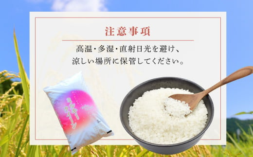 滋賀県愛荘町産　ミルキークイーン　5Kg　令和6年産 新米 2024年10月より順次発送  AC02