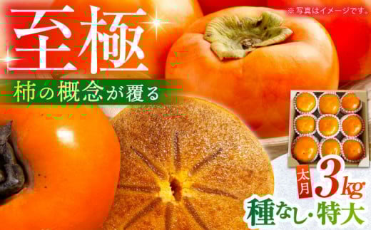 【10月下旬〜11月下旬発送】種なし柿 太月・渋抜き柿 3kg【小林農園】 [HAX001] 柿 果物 フルーツ 佐賀県 江北町