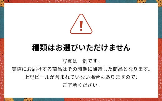 【12ヵ月定期便】CRAFT BANK　クラフトビール３種飲み比べ 350ｍｌ×６本セット   ふるさと納税 定期便 クラフトビール 麦芽 ホップ 苦味 深いコク 華やかな 香り 爽やか フルーティー ラガービール 黒ビール アルコール 飲み比べ おまかせ 詰め合わせ 京都府 福知山市