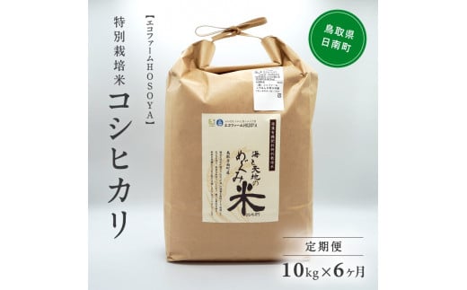 [№5667-0285]【6カ月連続お届け】新米 令和6年産 海と天地のめぐみ米（コシヒカリ） 白米10kg