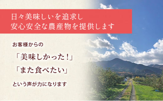 先行予約【12月発送】盛岡市産 田村ふぁーむ 家庭用 完熟 サンふじ りんご 約5kg（16～20玉）